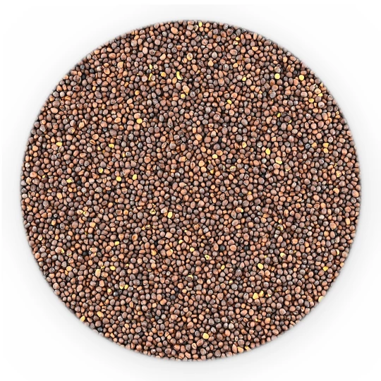 Чорна гірчиця ціла - на вагу-1