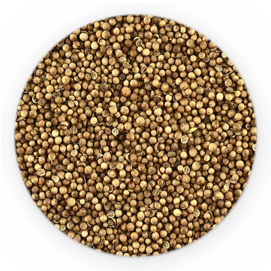 Зерно коріандру - HoReCa Basic Line-1
