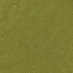 Шпинат висушений мелений - на вагу