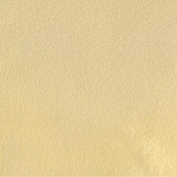 Ксантанова гума