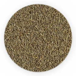 Чабер мелений - на вагу-1