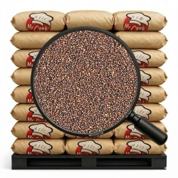 Чорна гірчиця ціла - на вагу