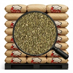 Італійське кріп (фенхель) зерно