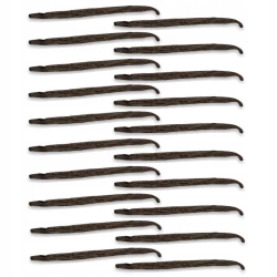  20szt Worek próżniowy