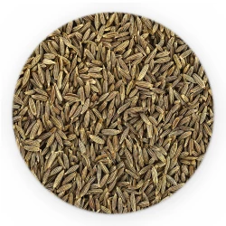 Римський кумін (кмин) зерно - Premium Line-1