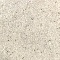 Цукор ванільний зі справжньою ваніллю Premium Line - на вагу